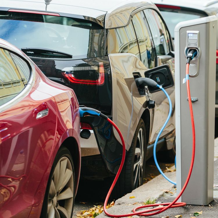 cover art for It's been awhile.