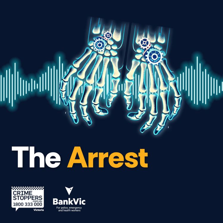 cover art for Anatomy of a Scam - The Arrest