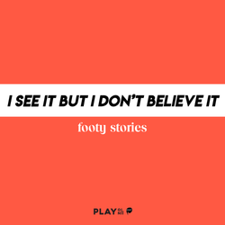 cover art for I See It But I Don't Believe It