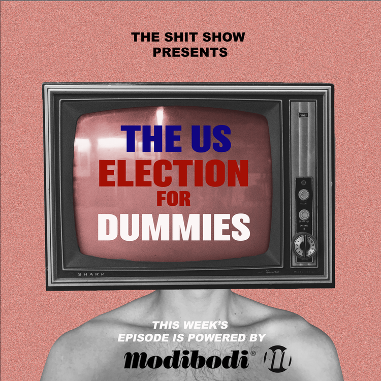 cover art for The US Election for Dummies