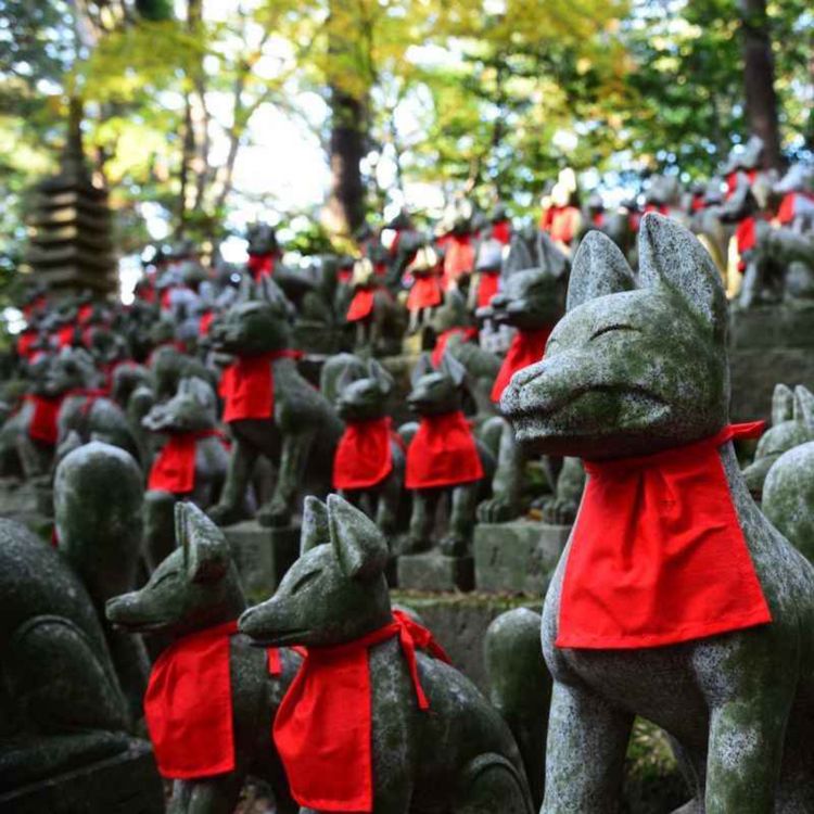 cover art for LoFi Botanical Ramble: Gerald Horne, Race War! (2004); etc [PREVIEW]