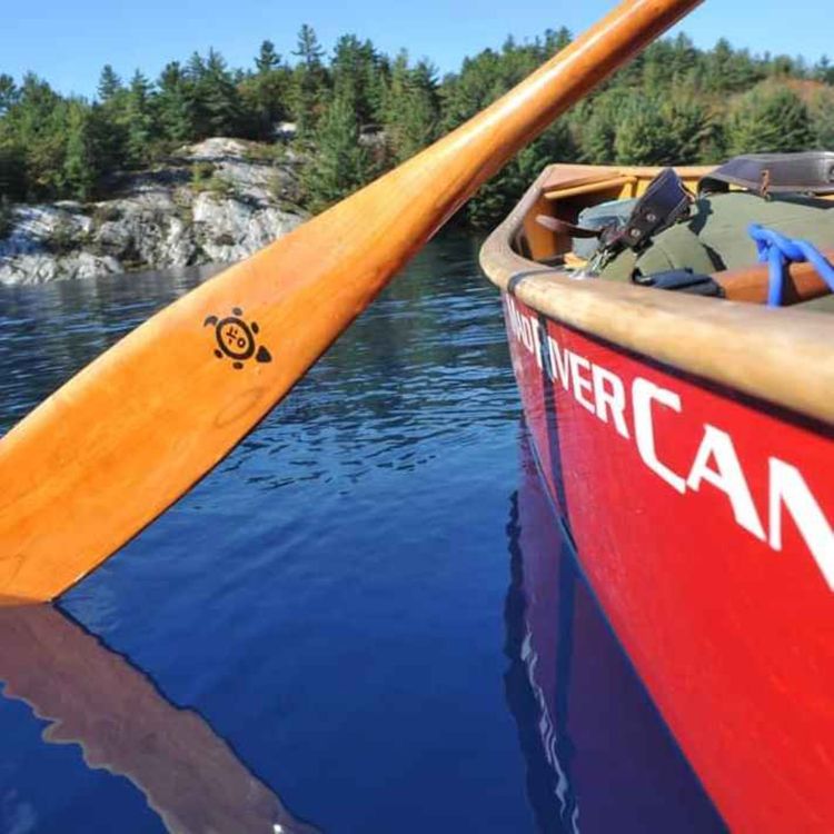 cover art for Left=Noided, Noided=Left: w/ River (featuring Fire in the Minds of Men)