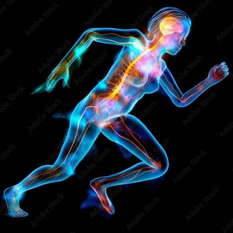 cover art for Organizational Proprioception w/ River