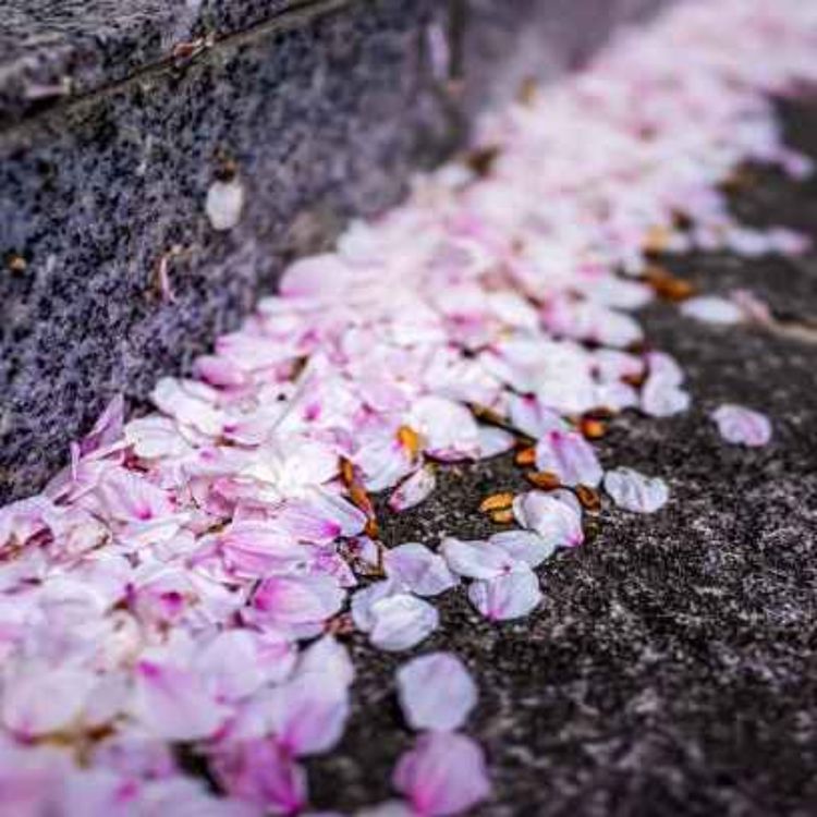 cover art for Casual chat, core content [PREVIEW]