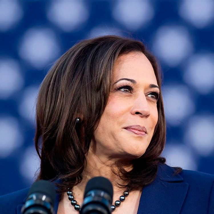 cover art for The Arrival of Kamala Harris | Julia Azari