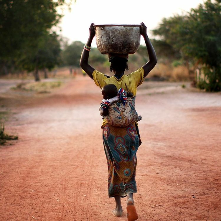 cover art for Tracking Progress on the SDGs | Michael Green