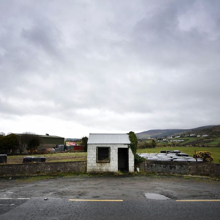 cover art for Special Edition: Brexit, the Season Finale? | Fintan O'Toole