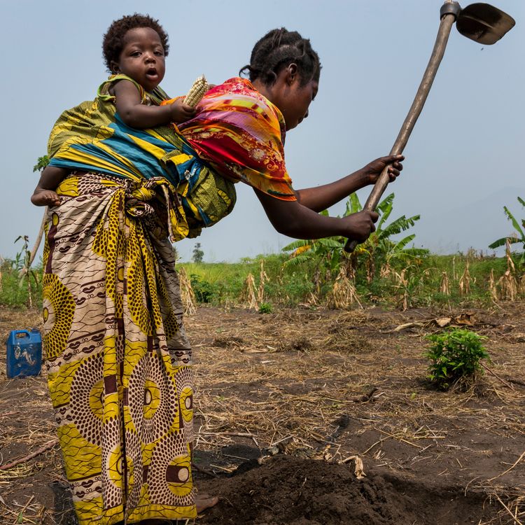 cover art for CFR's Rachel Vogelstein on the Economic Case for Gender Equality