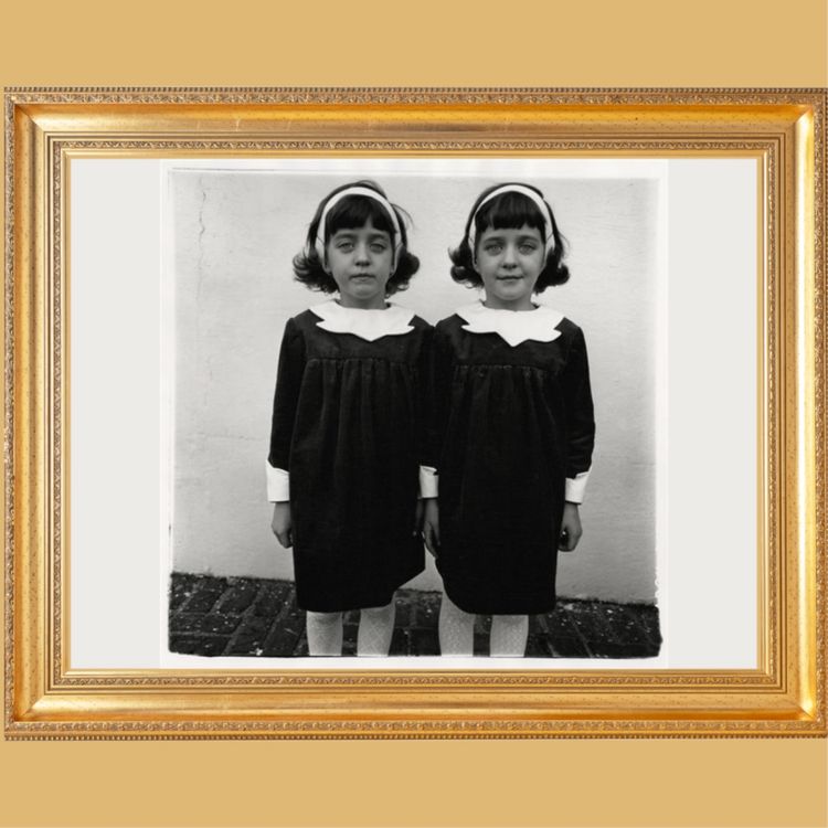 cover art for Identical Twins - Diane Arbus