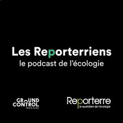 cover art for Les Reporterriens