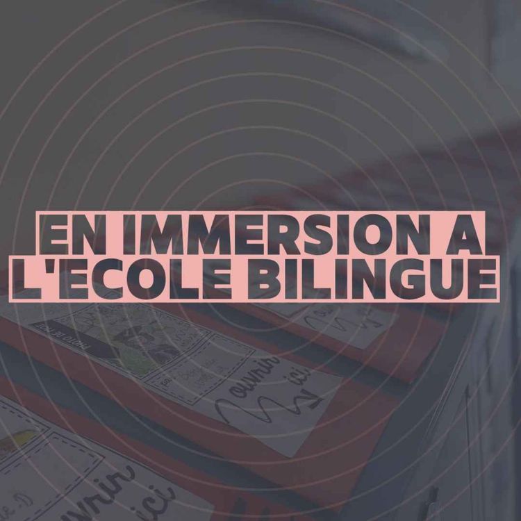 cover art for Bande Annonce : Immersion à l'école bilingue (série)