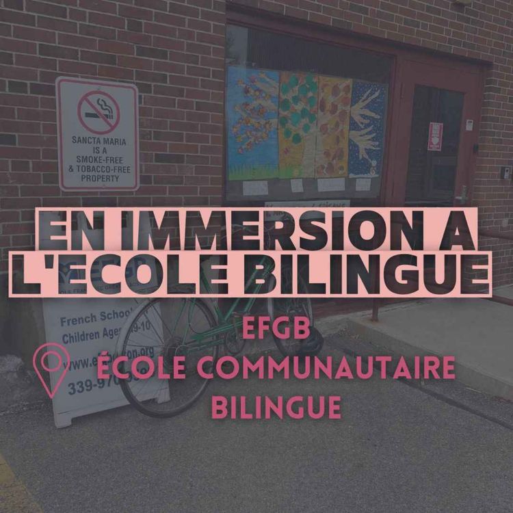 cover art for Donner du sens au français pour ne pas le perdre dans une école communautaire, l'EFGB