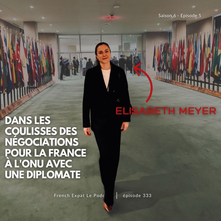 cover art for Elisabeth Meyer (New York) : Dans les coulisses des négociations pour la France à l’ONU avec une diplomate