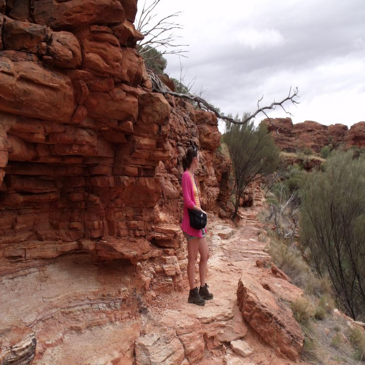 cover art for [BONUS] Les fire questions de Cécile Viarouge : de la Chine au Wisconsin