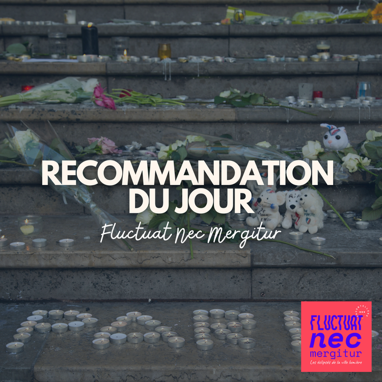 cover art for Recommandation : Fluctuat Nec Mergitur