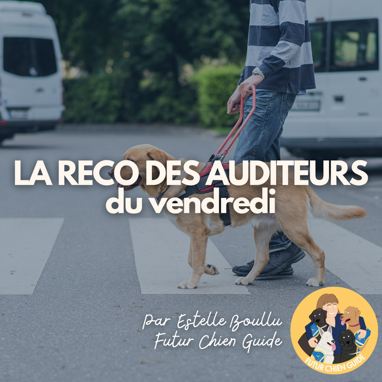 cover art for La Reco des Auditeurices : Futur Chien Guide