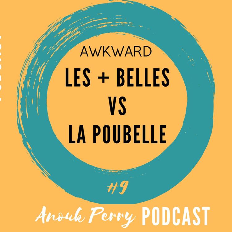 cover art for Les plus belles VS la poubelle — AWKWARD