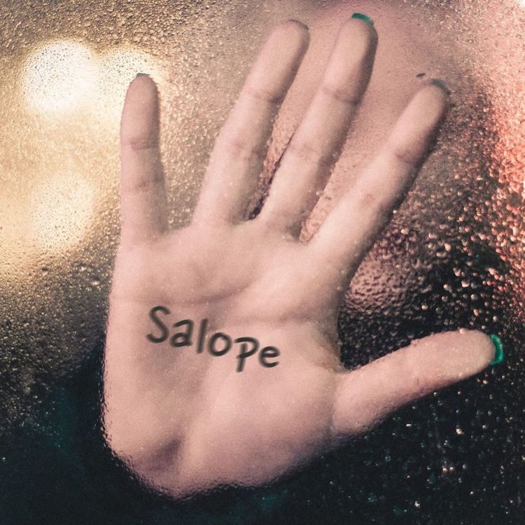 cover art for La salope du lycée