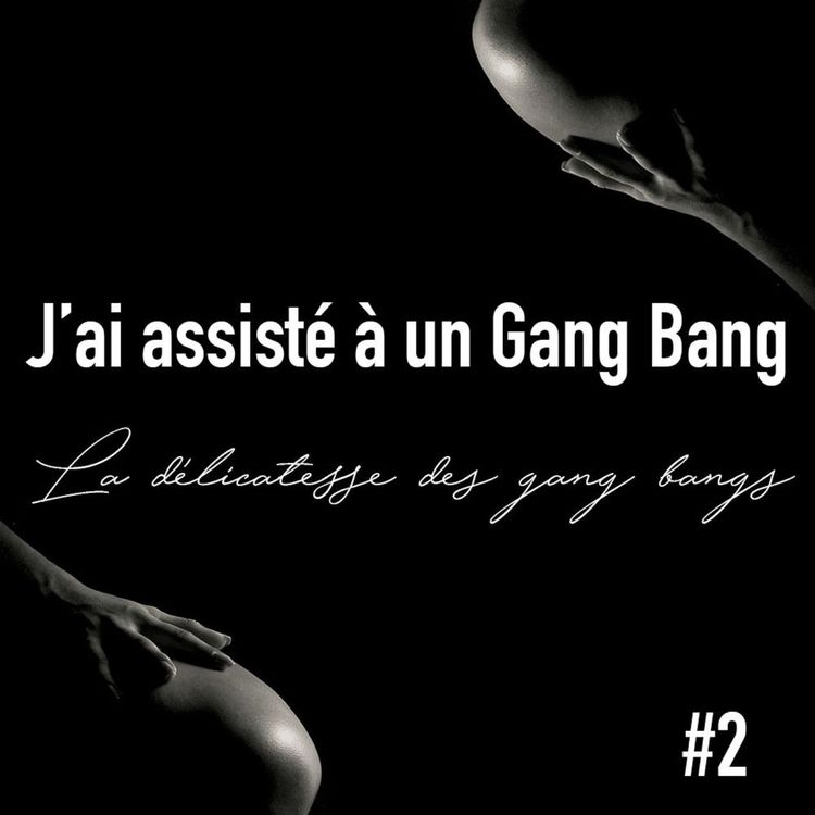 cover art for J'ai assisté à un Gang bang — La délicatesse des gang bangs (2/2)
