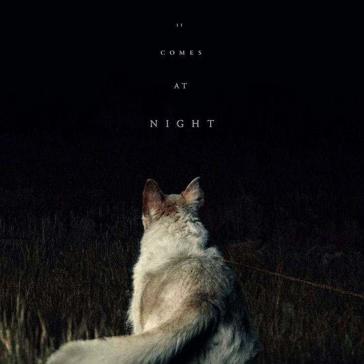 cover art for Episode 59 - It Comes At Night