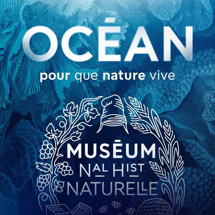 cover art for Quelles sont les extraordinaires adaptations du vivant au plus profond de l’océan ?