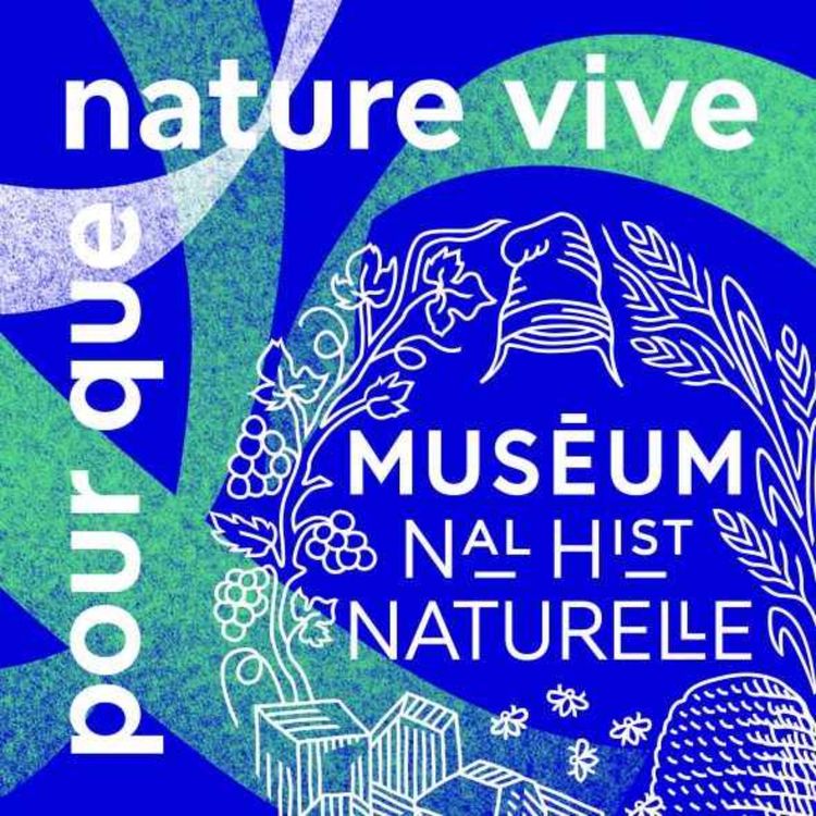 cover art for Les frontières entre espèces sont-elles clairement délimitées ?