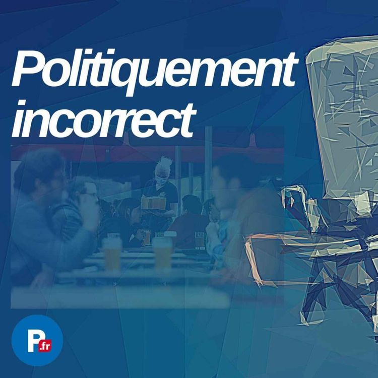 cover art for Politiquement incorrect (épisode 9)