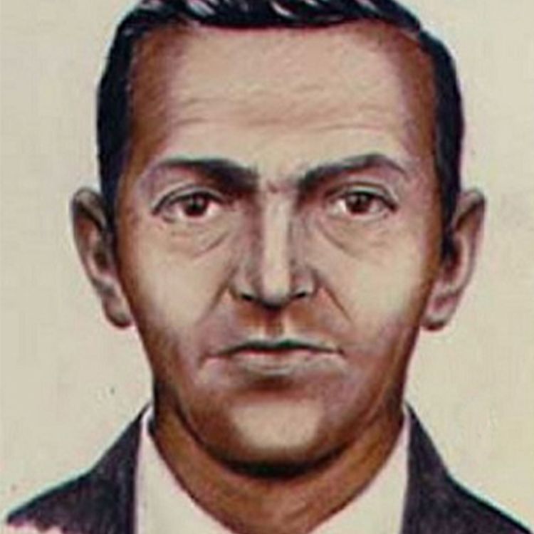 cover art for C'est arrivé un 24 novembre...