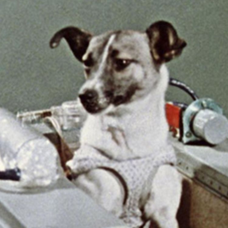 cover art for C'est arrivé un 3 novembre...