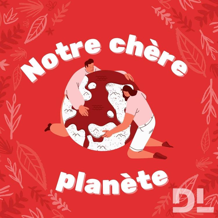 cover art for En première ligne face au choc climatique, le maire de Saint-Christophe en Oisans « tire la sonnette d’alarme »