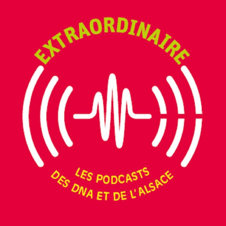 cover art for Journal au collège