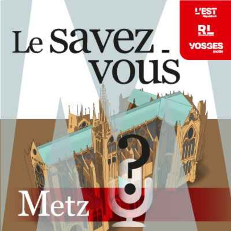 cover art for Savez-vous quel événement ponctuel anime la place Saint-Louis depuis quelques mois ?