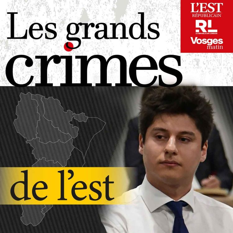 cover art for Affaire Narumi (4/6) : un suspect à ramener à tout prix