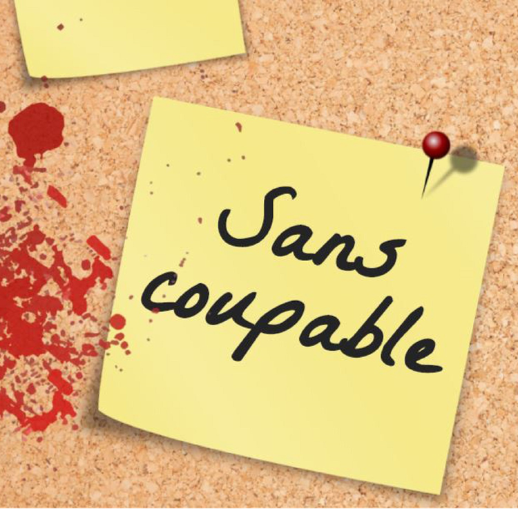 cover art for Sans coupable #1 : Les disparus de la forêt de Vendenheim