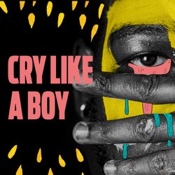 cover art for Cry Like a Boy