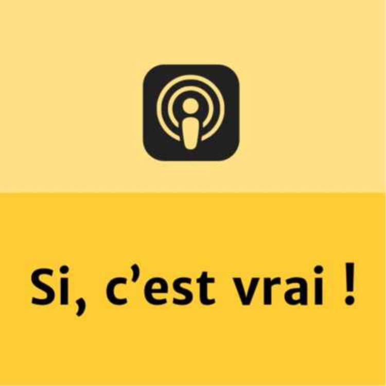 cover art for Les scientifiques vous répondent : connaissez-vous le blob ?