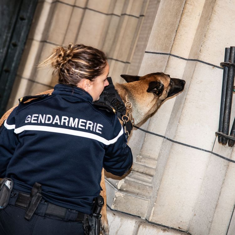 cover art for Maître-chien à la Garde républicaine : "sans Naia, je ne pourrais pas réaliser mon rêve"