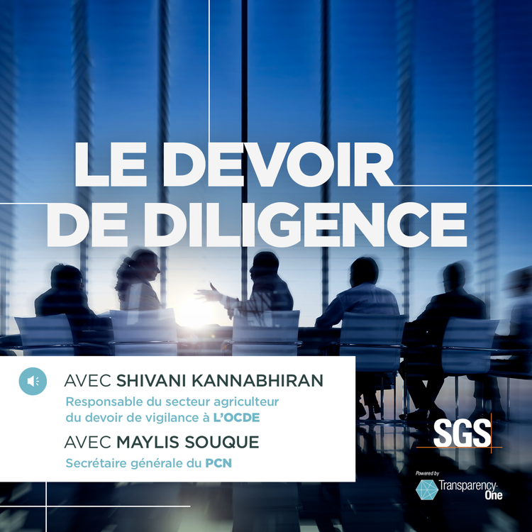 cover art for Devoir de diligence : pour une conduite responsable des entreprises