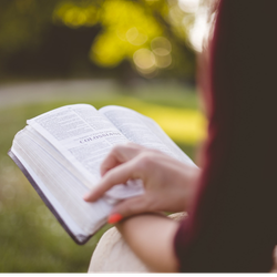 cover art for Lectures à voix haute