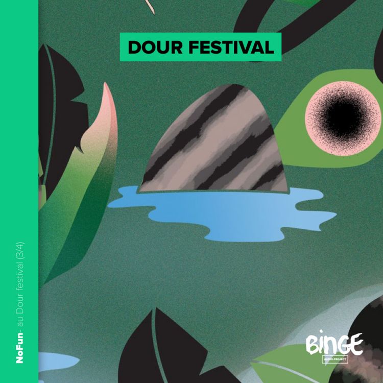 cover art for NoFun au Dour festival (3/4)