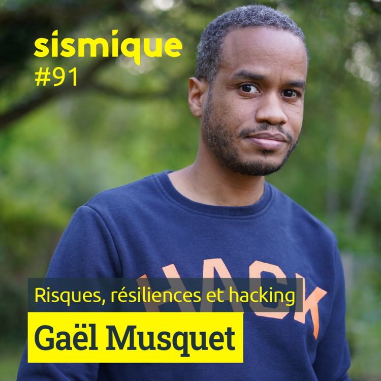 cover art for 91. Risques, résiliences et hacking - GAËL MUSQUET