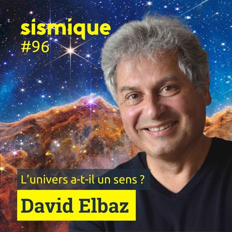 cover art for 96. L’univers a-t-il un sens ?- DAVID ELBAZ