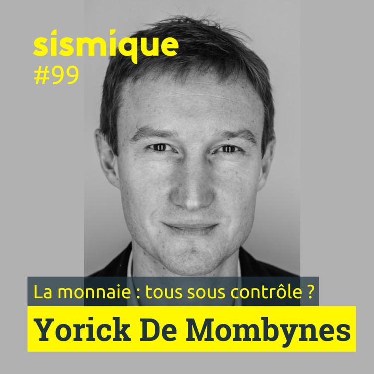 cover art for 99. La monnaie : tous sous contrôle ?- YORICK DE MOMBYNES