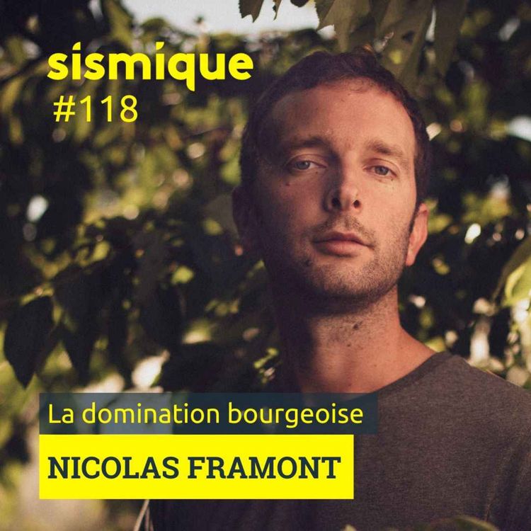 cover art for 118/1. La domination bourgeoise ? - NICOLAS FRAMONT