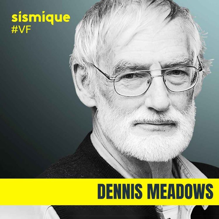 cover art for DENNIS MEADOWS : Il y a des limites à la croissance ! Va-t-on bientôt se prendre le mur ? (#VF)