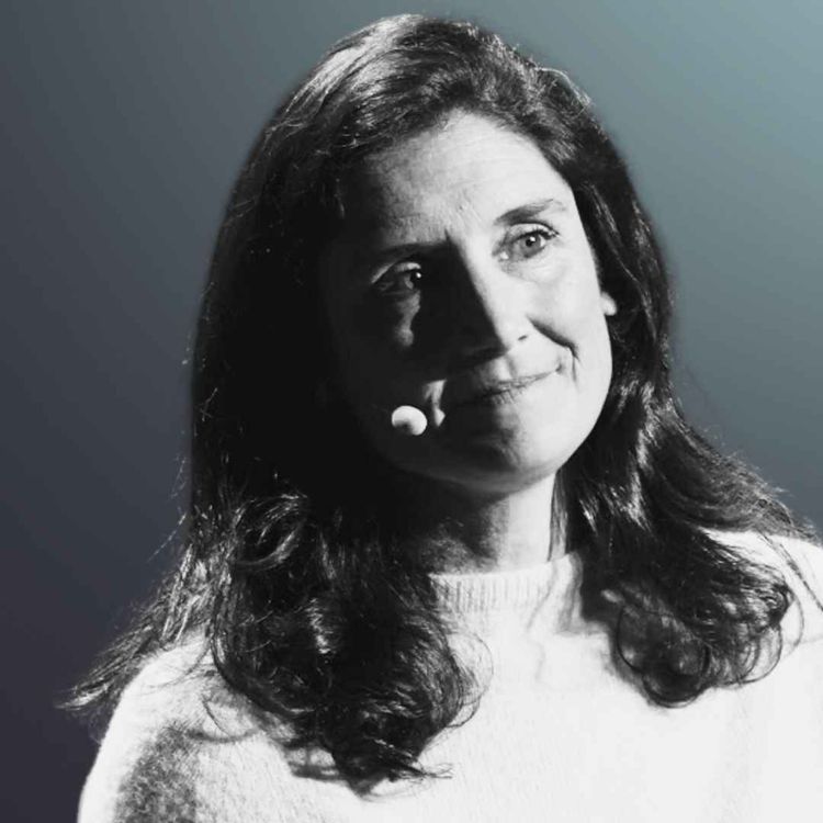 cover art for Fierté Française. Au-delà du mythe d’un pays fragmenté  - LAURENCE DE NERVAUX