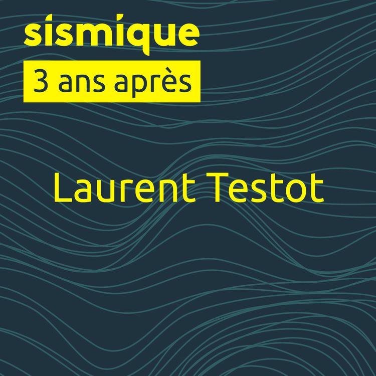 cover art for 3 ans après - Laurent Testot