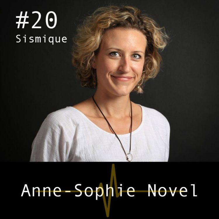 cover art for Les Media, le monde et nous - Anne-Sophie Novel