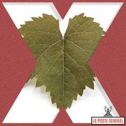 cover art for IXE FILES