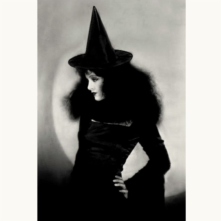 cover art for LA CHATTE AUX SORCIÈRES 